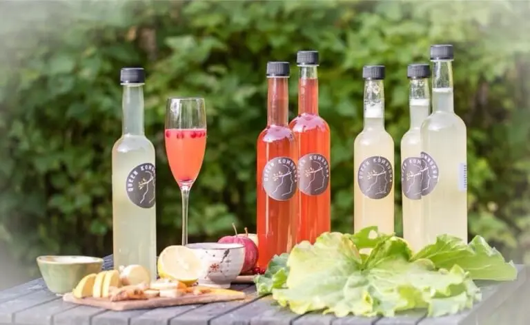 Kombucha – enemmän kuin trendijuoma Kombucha – enemmän kuin trendijuoma